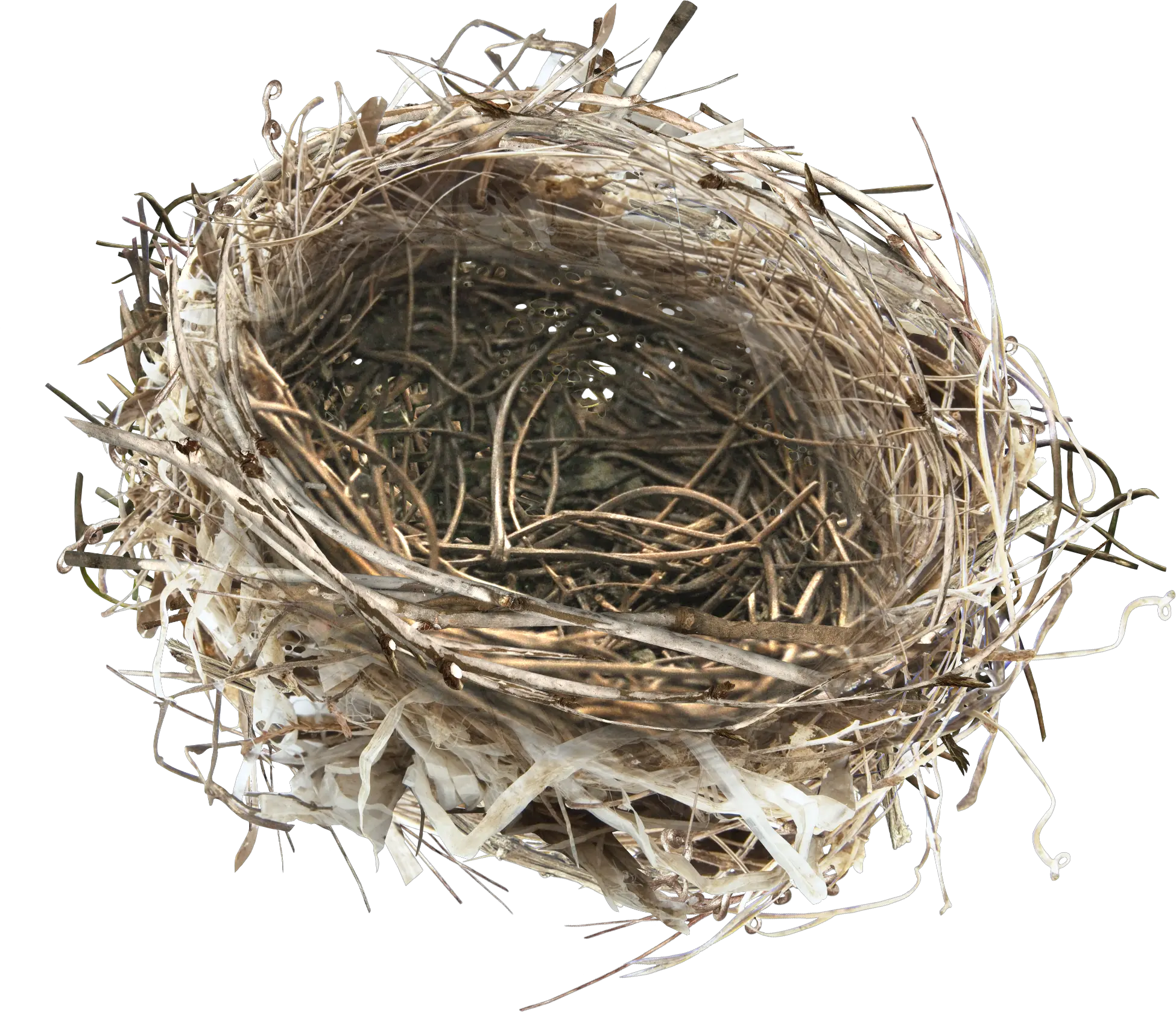  Download Hd This Product Design Is Hand Painted A Nest Png Eggs On The Nest Nest Png