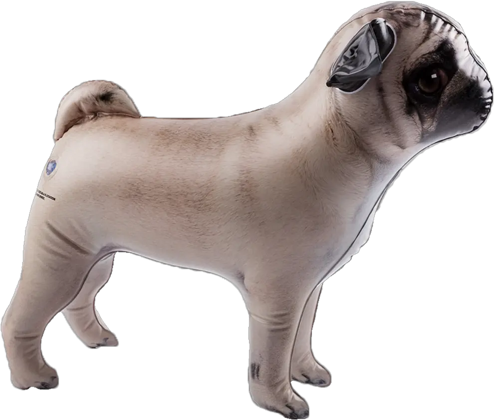  Inflatable Pet Dci Gift Side View Pug Full Size Png Pug Pug Png