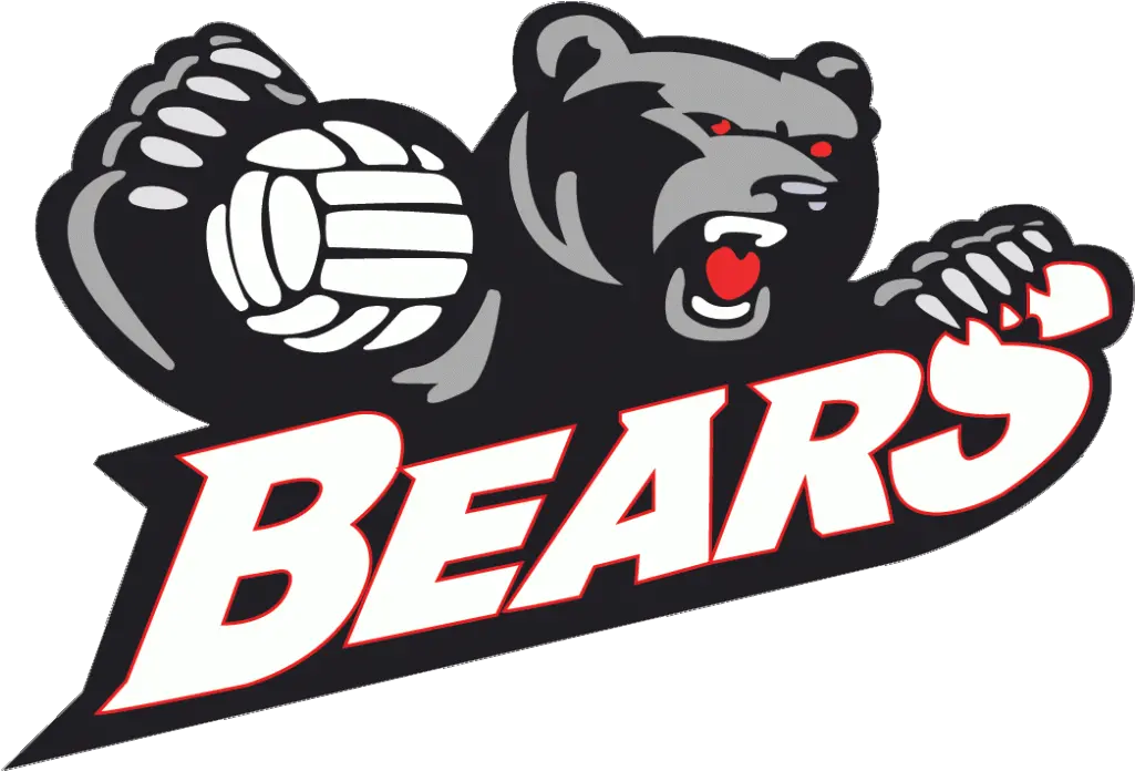  Home Norwood Bears Volleyball Club Illustration Png Volleyball Logo