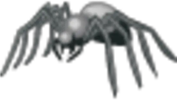  Spider Icon For Teen Png Black Spider Icon