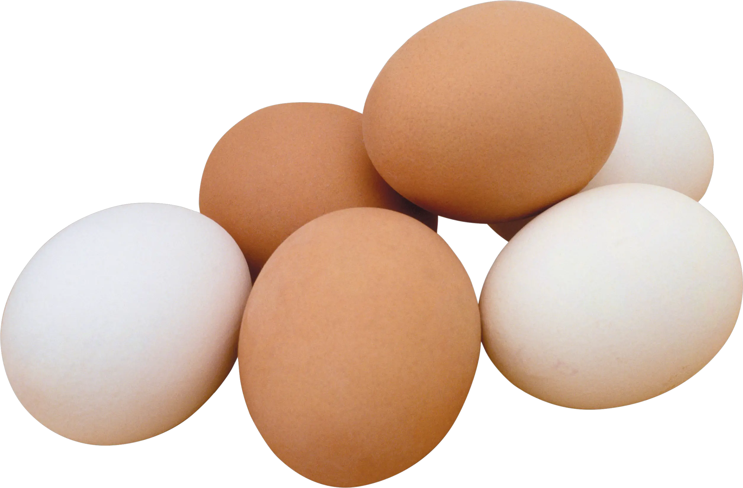  Free Egg Png Transparent Download Chicken Egg Png Cracked Egg Png