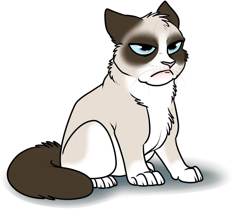  Scottish Fold Cat Dog Like Mammal Cartoon Transparent Grumpy Cat Png Grumpy Cat Png