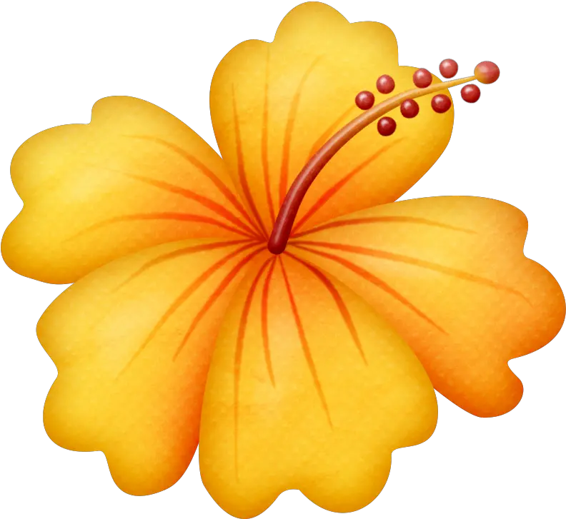  Tropical Flower Png Exotic Pink Flower Png Clipart Picture Gumamela Flower Clipart Tropical Flowers Png