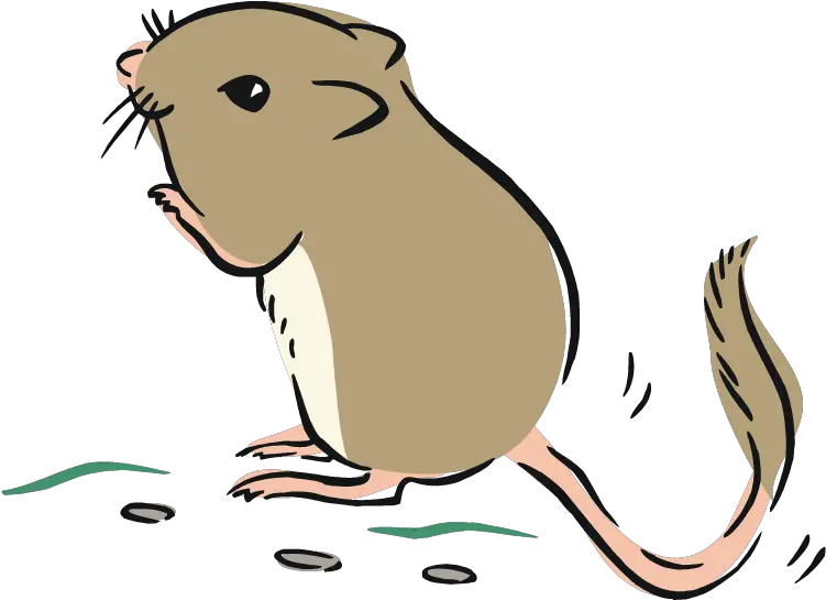  Zodiac Clipart Rat Kangaroo Rat Clipart Png Download Rat Clipart Png Rat Transparent Background