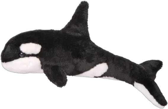  Douglas Spout Orca Whale Killer Whale Png Killer Whale Png