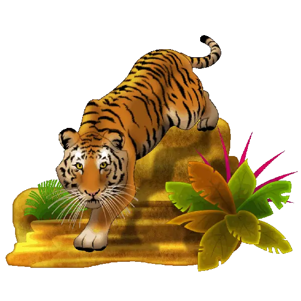  Cats Clipart Png Collection Of Tiger Png High Quality Tiger Clipart Tiger Png