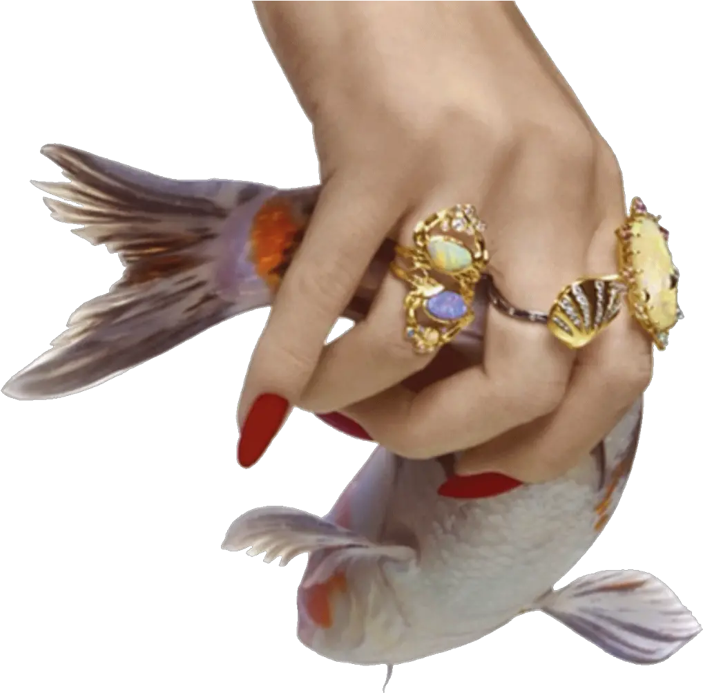  V Aesthetic Mood Png Venus Transparent Background