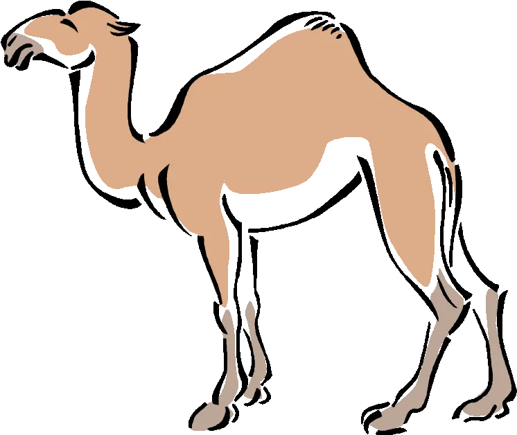  Camel Drawing Outline Free Download Camel In Simple Art Png Camel Transparent