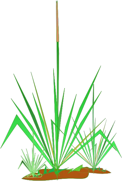  Grass Clipart Transparent Grass Png Grass Clipart Transparent