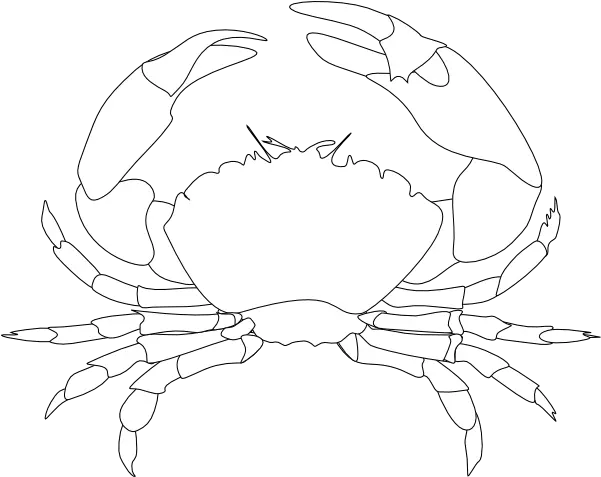  Whte Crab Clip Art Vector Clip Art Online White Crab Logo Png Crab Png