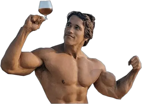  Arnold Schwarzenegger Bodybuilding Png Hd Image All Body Building Images Hd Download Arnold Schwarzenegger Transparent