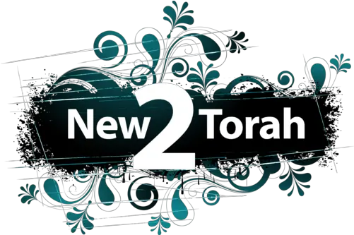  New2torah Twitter Logos Enamel Pins Decorative Png Twiter Logos