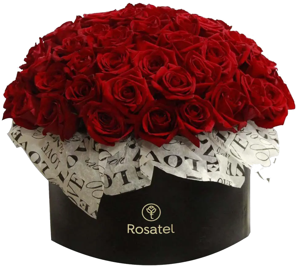  Sombrerera Negra Love Con 50 Rosas Rojas Lovely Png Rosas Rojas Png