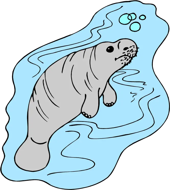  Manatee Clipart Cliparts And Others Art Inspiration Manatee Png Manatee Png