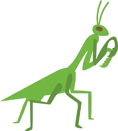  Good Bugs High Yield Products Canada Png Praying Mantis Icon