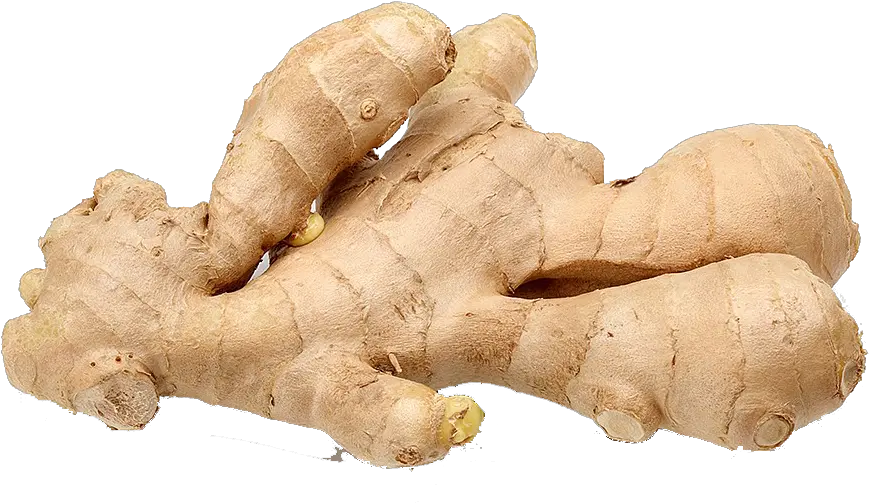  Download Ginger Png Background Clipart Ginger Png Ginger Png