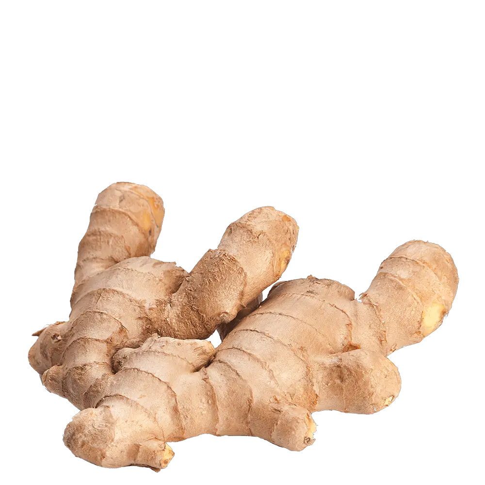  Download Ginger Png Ginger Hd Ginger Png