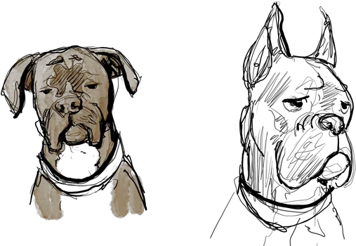  Download Abandon Bonus Page Draw A Boxer Dog Face Png Draw A Boxer Dog Face Dog Face Png