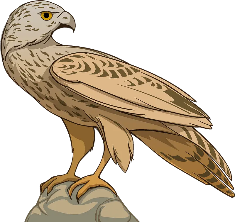  Hawk Clipart Falcon Png Hawk Png