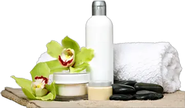  We Offered Several Types Of Massage Services Transparent Spa Images Png Spa Png