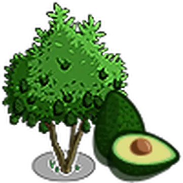  Avocado Tree Farmville Wiki Fandom Hass Avocado Png Avocado Icon