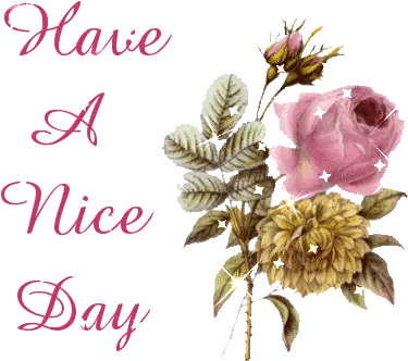  Upload Stars 629 Have A Nice Day Pink Flowers Sparkle Good Morning Wishes Gif Download Png Transparent Pink Flowers