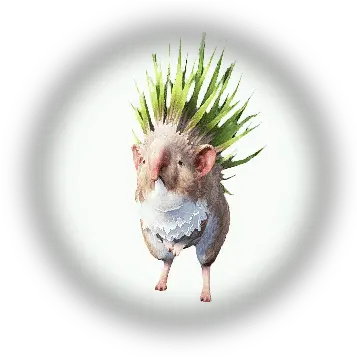  Grassland Hedgehog Bdo Codex Black Desert Grass Hedgehog Png Hedgehog Icon