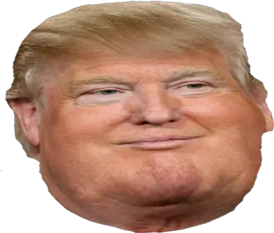  Donald Trump Head Transparent Png Donald Trump Face Only Donald Trump Head Transparent