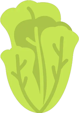  Lettuce Free Food Icons Language Png Lettuce Icon