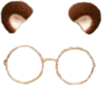  Library Of Snapchat Glasses Filter Png Cute Bear Snapchat Filter Snapchat Dog Filter Transparent