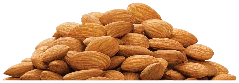  Download Almond Png Badam Png Almonds Png