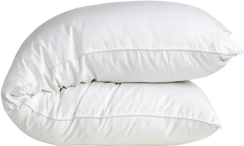  Best Full Body Pillow In India Coirfit Bodymate Body Pillow Pillow Png Pillow Png