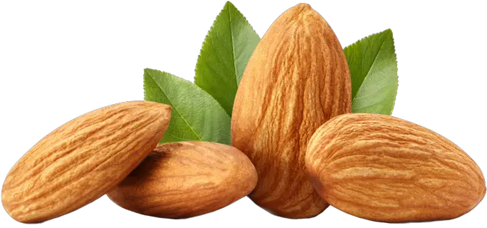  Dried Fruits And Nuts Almond Png Almonds Png