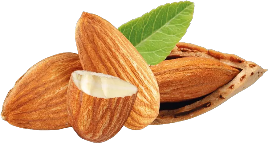  Almond Free Png Images Tree Png Nuts Almonds Png