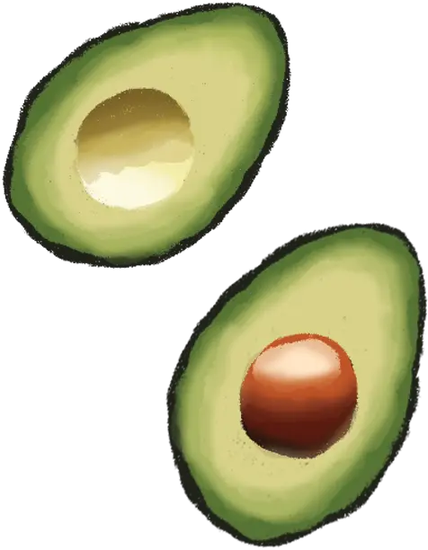  Illustrations U2014 Felicia Sosa Bennett Hass Avocado Png Avocado Png