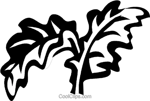  Kale Royalty Free Vector Clip Art Illustration Vc029319 Vector Kale Leaf Clipart Png Kale Png