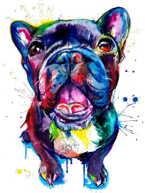  Download Bulldog Pug Dog French Pet Bull Pit Clipart Png Watercolor French Bulldog Pit Png