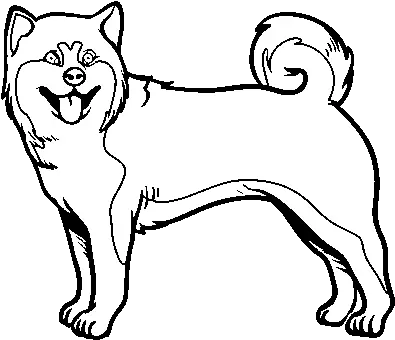  Download Hd Akita Dog Coloring Page Shiba Inu Coloring Shiba Inu Coloring Page Png Shiba Inu Png