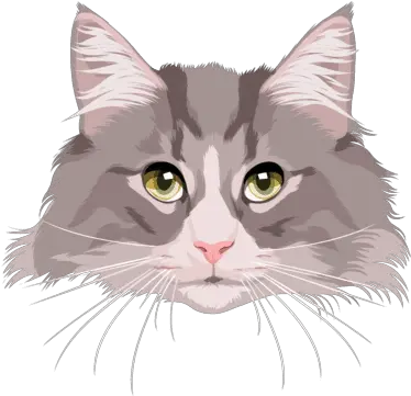  Cartoonize Your Cat Domestic Cat Png Cat Face Png