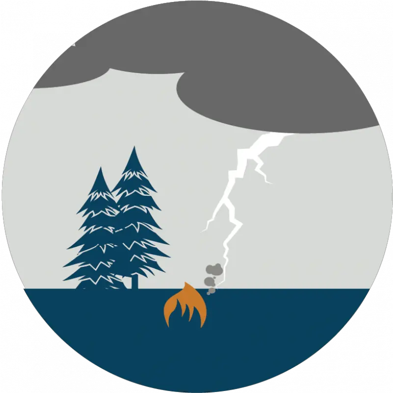  Wildland Fire Arctic Council Png Pine Tree Canoe Icon