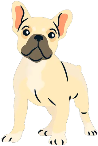  French Bulldog Puppy Transparent French Bulldog Logo Png Puppy Transparent Background