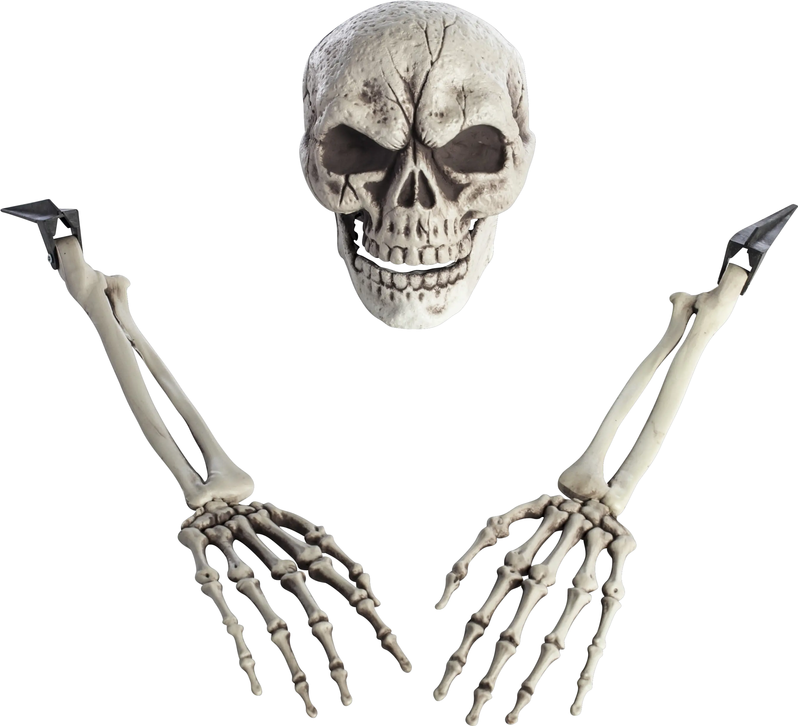  Download Hd Skeleton Arm Png Transparent Image Nicepngcom Skeleton Skeleton Png Transparent