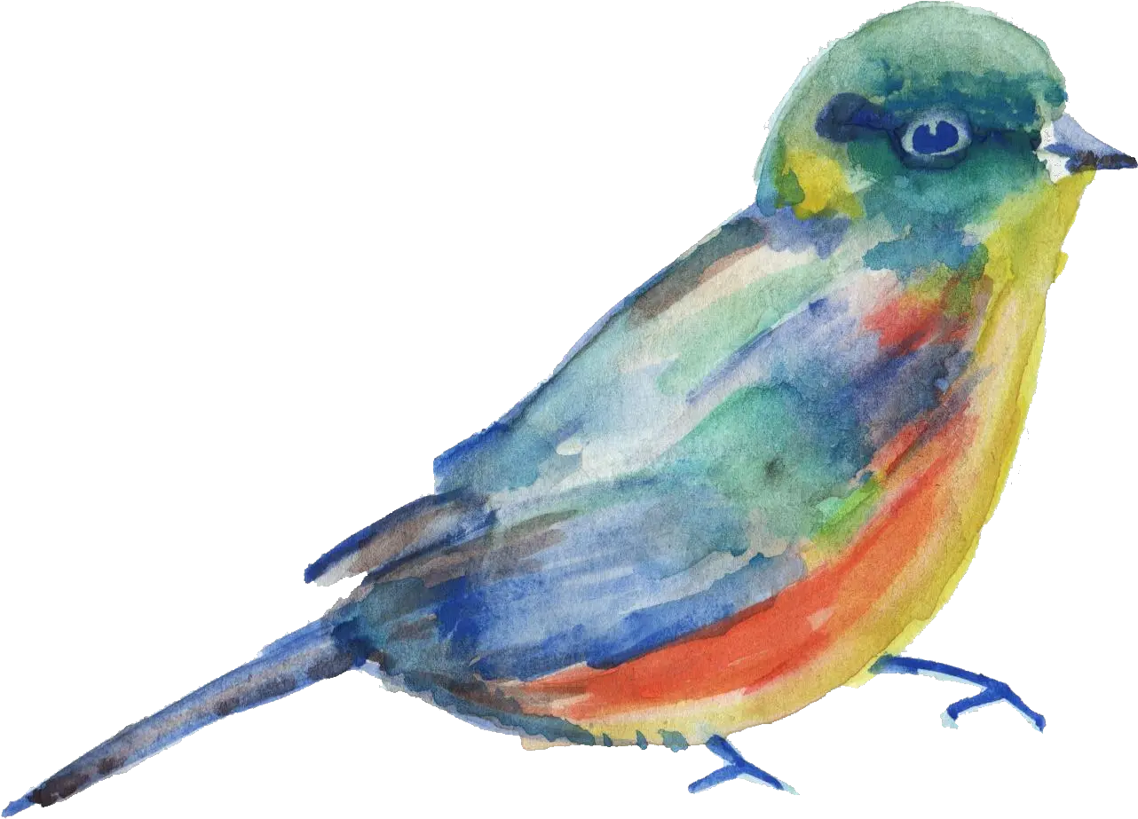  Bird Parrot Transparent Watercolor Painting Watercolor Bird Png Parrot Transparent