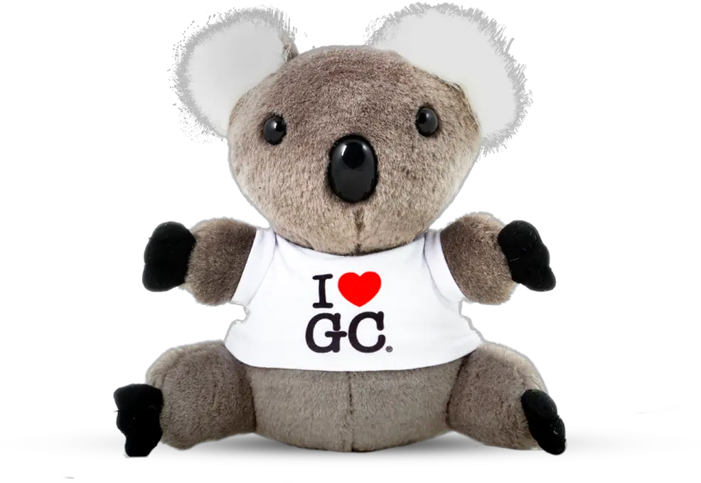  Gold Coast Koala Plush Toy U2014 I Love Png Transparent