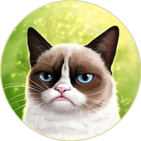  Imattpro Matt Friedman Github Grumpy Cat Png Grumpy Cat Icon