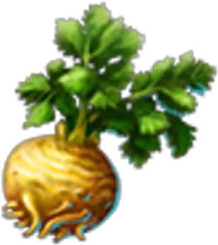  Wild Celery Dreamfields Wiki Fandom Christmas Tree Png Celery Png