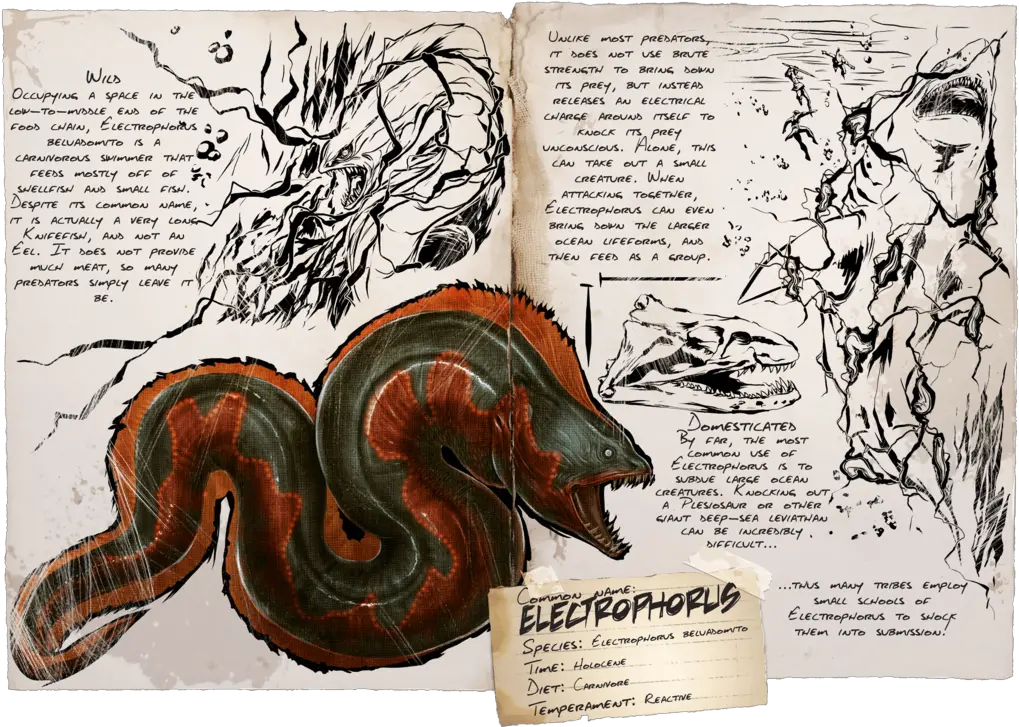  Electrophorus Official Ark Survival Evolved Wiki Electrophorus Ark Png Eel Png