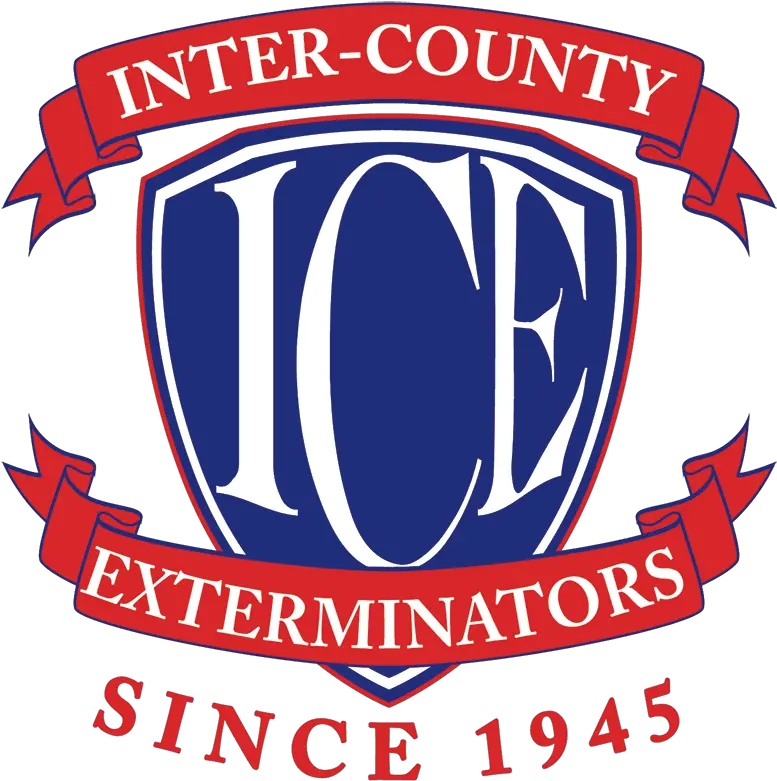  Download Inter County Exterminator Logo Clip Art Png Meme Logo