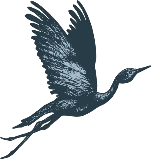  The Story Behind Blue Crane Blue Crane Bird Flying Png Crane Bird Png