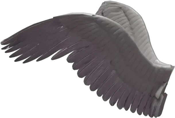  Wings Png Wings From The Side Wings Png Transparent